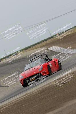 media/Jul-31-2022-Speed Ventures (Sun) [[bfb4b6530b]]/Black Group/Grapevine/